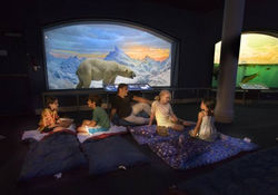 A Night At The Museum