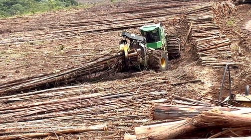 Captura de Tela 2023-03-15 às 11.41.47.png
