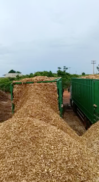 Captura de Tela 2023-03-22 às 09.07.24.png