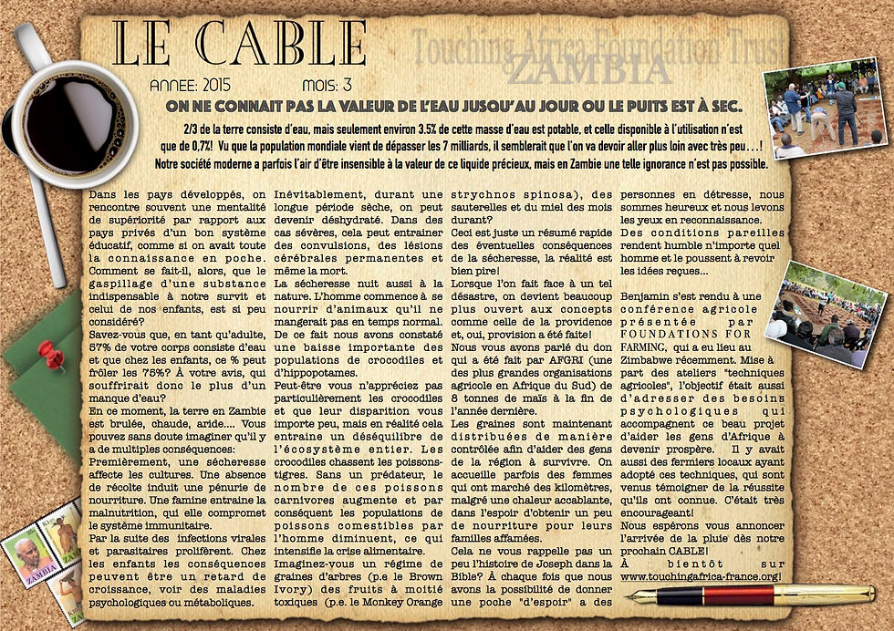 NEWSLETTER DESIGN