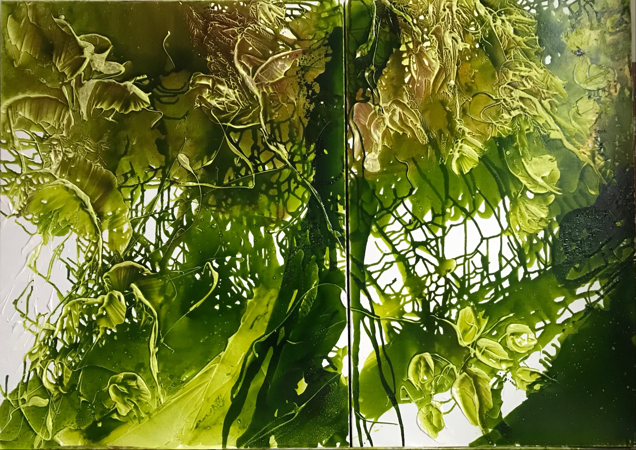 Nature insight N°IX/10 - 2017
