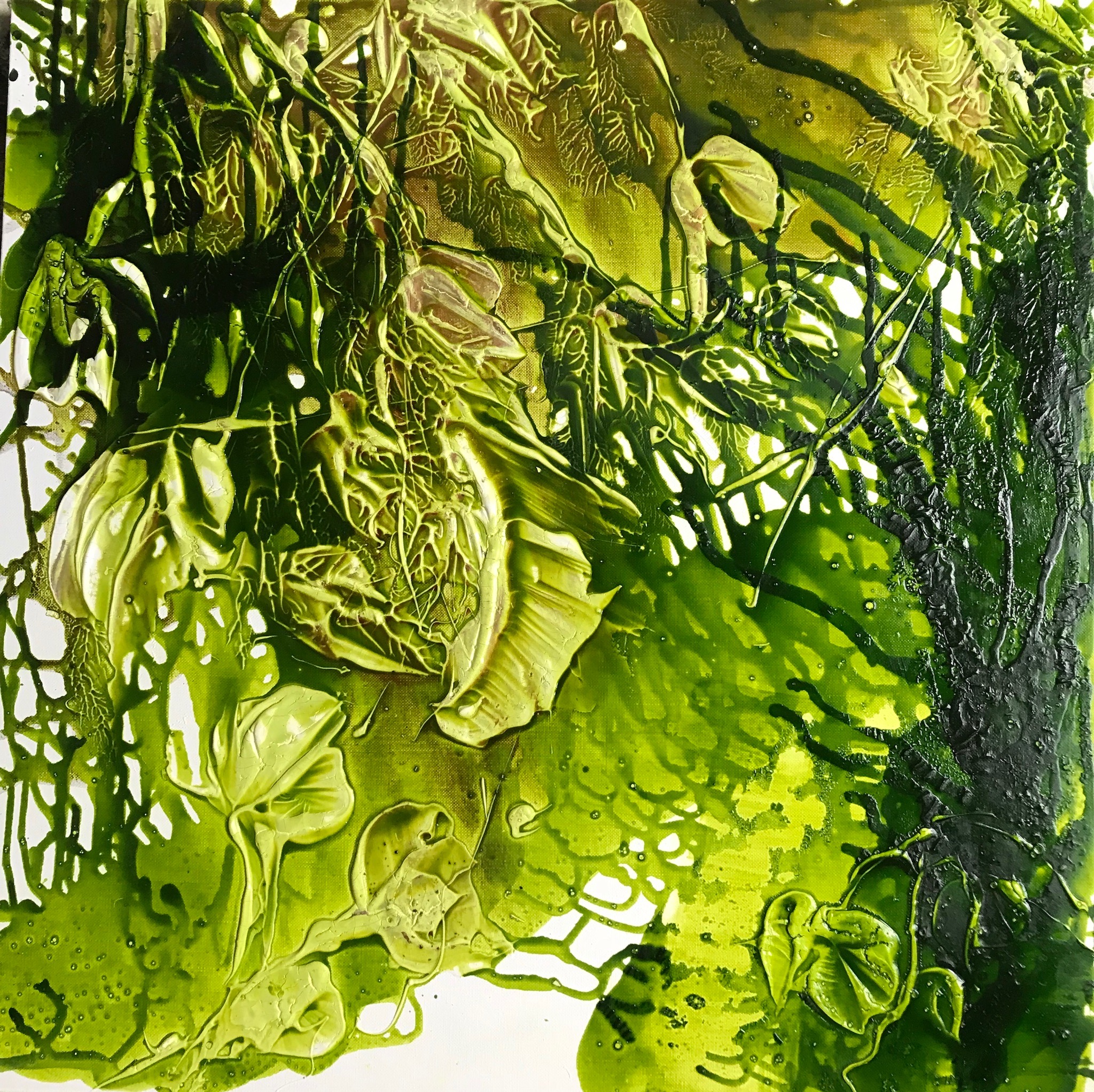 Nature insight N°IX/12 - 2017