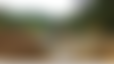 Juan Escobar / Obras paralizadas en el agro 