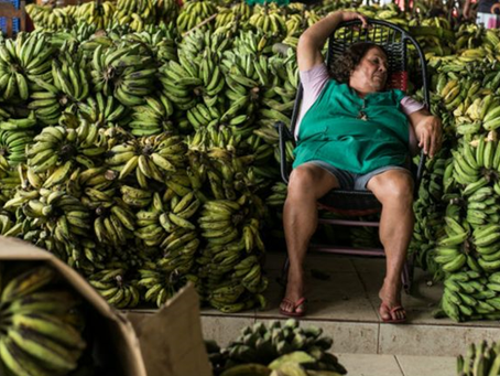 César Ferradas / “Banana Business”