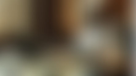 Ramón Palti / Sistema Bancario Tecnológico