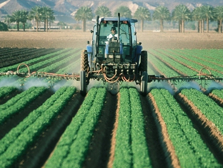 Juan de Dios Guevara / Agricultura y ganadería mejorada (1 de 4)