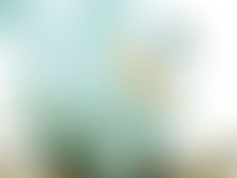 Fernando Cillóniz / Gastando más con menos