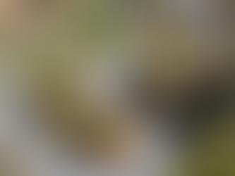 Juan de Dios Guevara / Alianza Perú-Brasil (3 de 3)