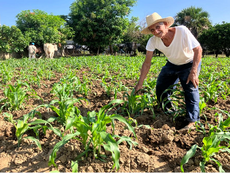 Juan de Dios Guevara / Cultivar al Hombre y al Campo 