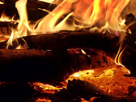 Carlos Ginocchio / Frases de nuestros padres (4 de 9)