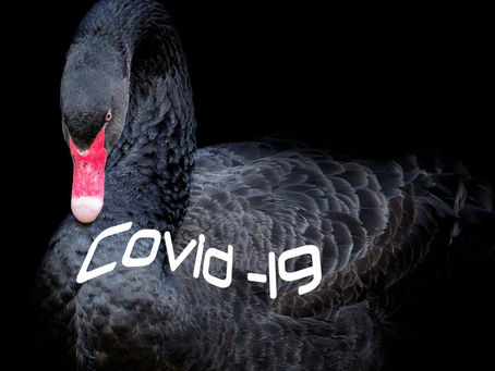 Yaneth Arteta / COVID-19: Impacto improbable