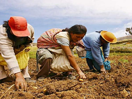 Pablo Secada / Gobiernan liberales ahora