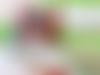 Karla Gaviño / Obras por Impuestos (2 de 2)