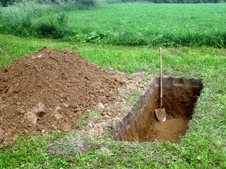 Fabiola Morales / ¿Triunfo de Castillo?