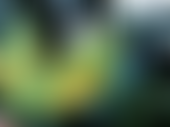 José Tejada / La roya los pone a raya (1 de 2)