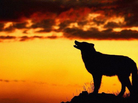 Fernando Cillóniz Benavides / Ladrones y bandidos asalariados