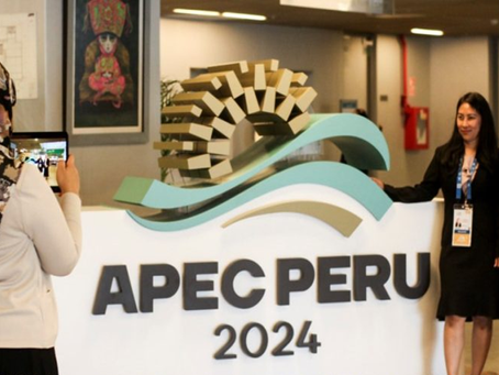 Juan de Dios Guevara / Más sobre APEC (3 de 3)Â