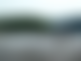 Carlos Ginocchio / Frases de nuestros padres (8 de 9)