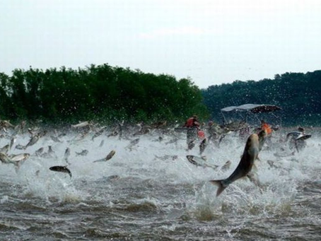 Carlos Ginocchio / Frases de nuestros padres (8 de 9)