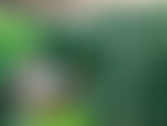 Juan de Dios Guevara / Agronegocios (4 de 4)