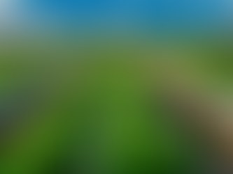 Juan de Dios Guevara / Una idea para el agro (3 de 3)