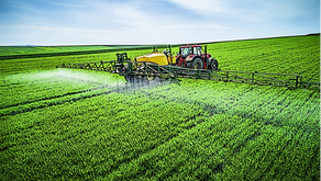 Alfonso Velásquez / Mi visión para el Perú 