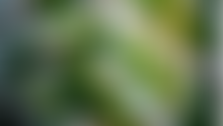 Juan Escobar / Ministerio de gris a verde (1 de 3) 