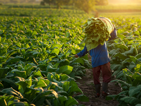 Germán Lench / MEF vs financiamiento agrario (2 de 2)