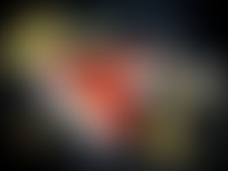 Fabiola Morales / Sin instituciones no hay civilización