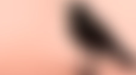 Fernando Cillóniz / Cría cuervos y te sacarán lo ojos