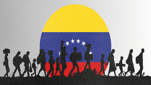 Embajador Jorge Castañeda / Regularización migratoria controlada