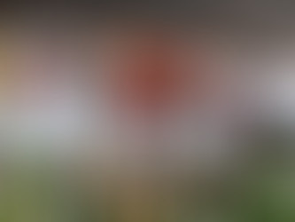 Carlos Ginocchio / Empecemos nuevamente