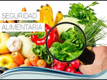Inés Carazo / Seguridad alimentaria y nutricional