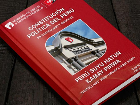 Yaneth Arteta / Imperiosa innovación constitucional (1 de 2)