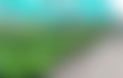 Eloy Durán / Reactivando con el Procompite Forestal