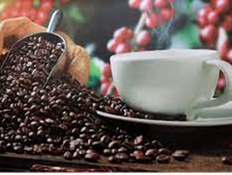 Martín González / Honduras huele a café