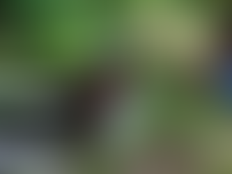 Julio Schiappa Pietra / Gobernando a los Hipopótamos