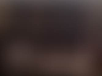 Germán Lench / ¿Senado costaría muy caro? (2 de 2)