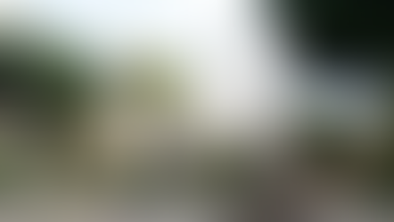 Carlos Ginocchio / El centro piurano y la región mestiza 