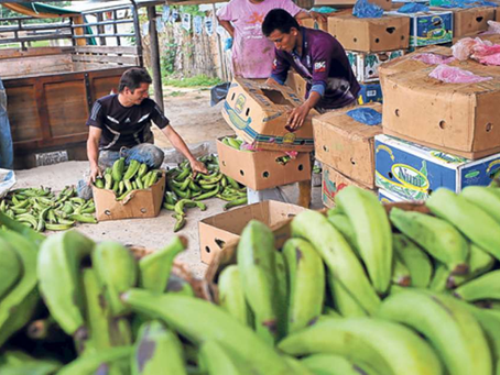 Miguel Dávila / Intermediario bueno y malo (2 de 2)