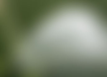 Yefferson Llonto / Agricultura y alimentación: perspectivas hacia el futuro