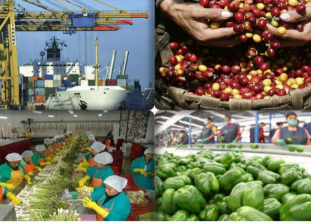 Juan Escobar / ¿Qué economía quiere construir su región? 