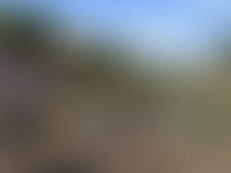 Germán Lench / Economía estancada (4 de 4)