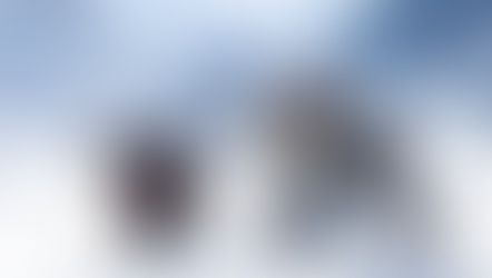 Carlos Ginocchio / La sociedad de la nieve 