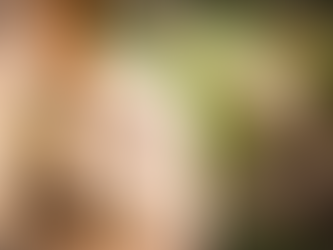 Zulema Manrique / Las abejas