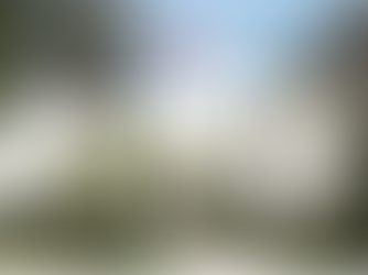 Embajador Jorge Castañeda / Formación No Académica de Diplomáticos