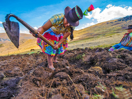 Germán Lench / Agro olvidado (2 de 3)