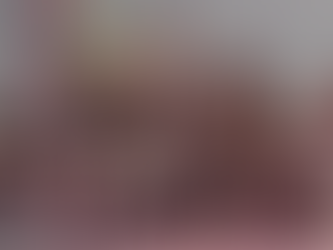 Marilú Cerpa Moral / La misión militar francesaÂ