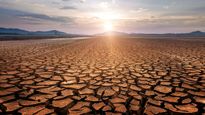 Juan Escobar / Desastres naturales y de gestión (2 de 2)