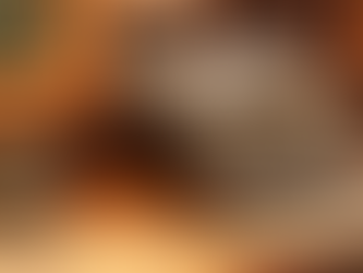 Carlos Ginocchio / Generación gloriosa